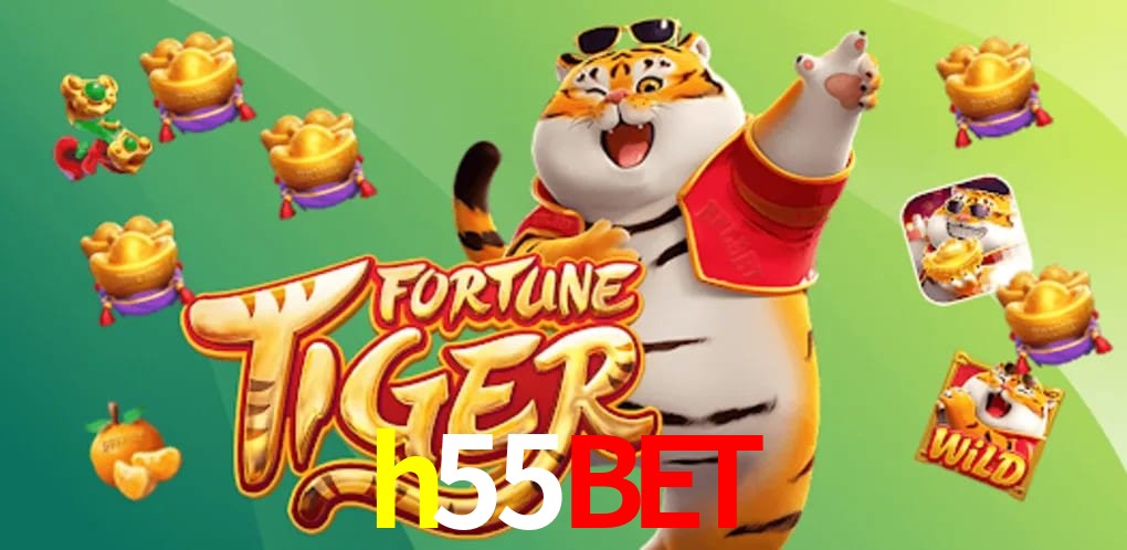 Experiência VIP h55bet